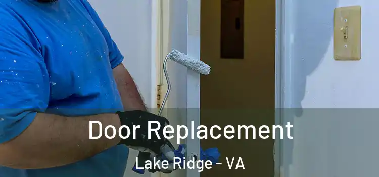 Door Replacement Lake Ridge - VA