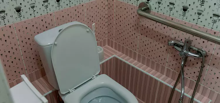 Meeting Diverse Needs With Accessible Restroom Solutions in Lake Ridge, VA