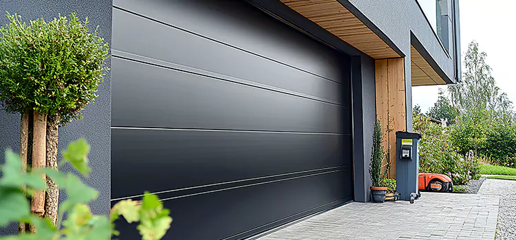 Residential Garage Door Service Lake Ridge